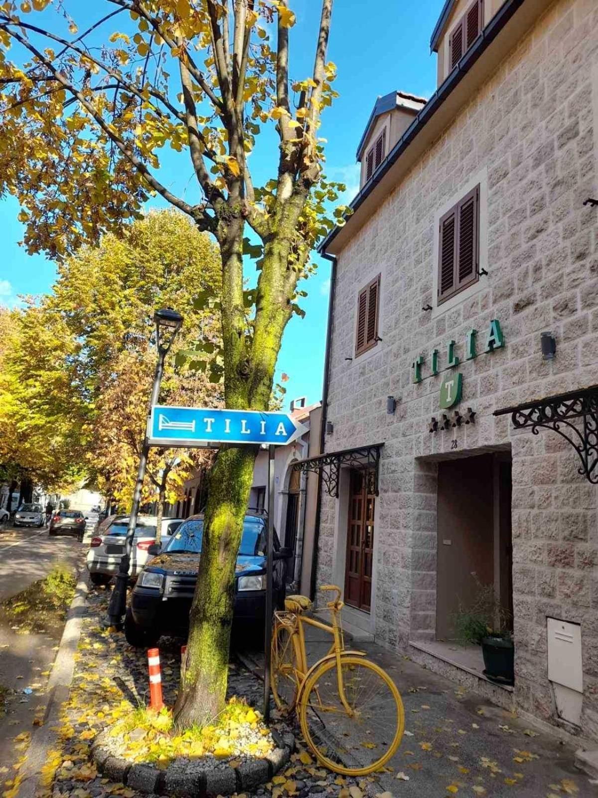 Hotel Tilia à Cetinje Extérieur photo